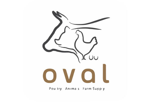 Oval Orlins AI Client